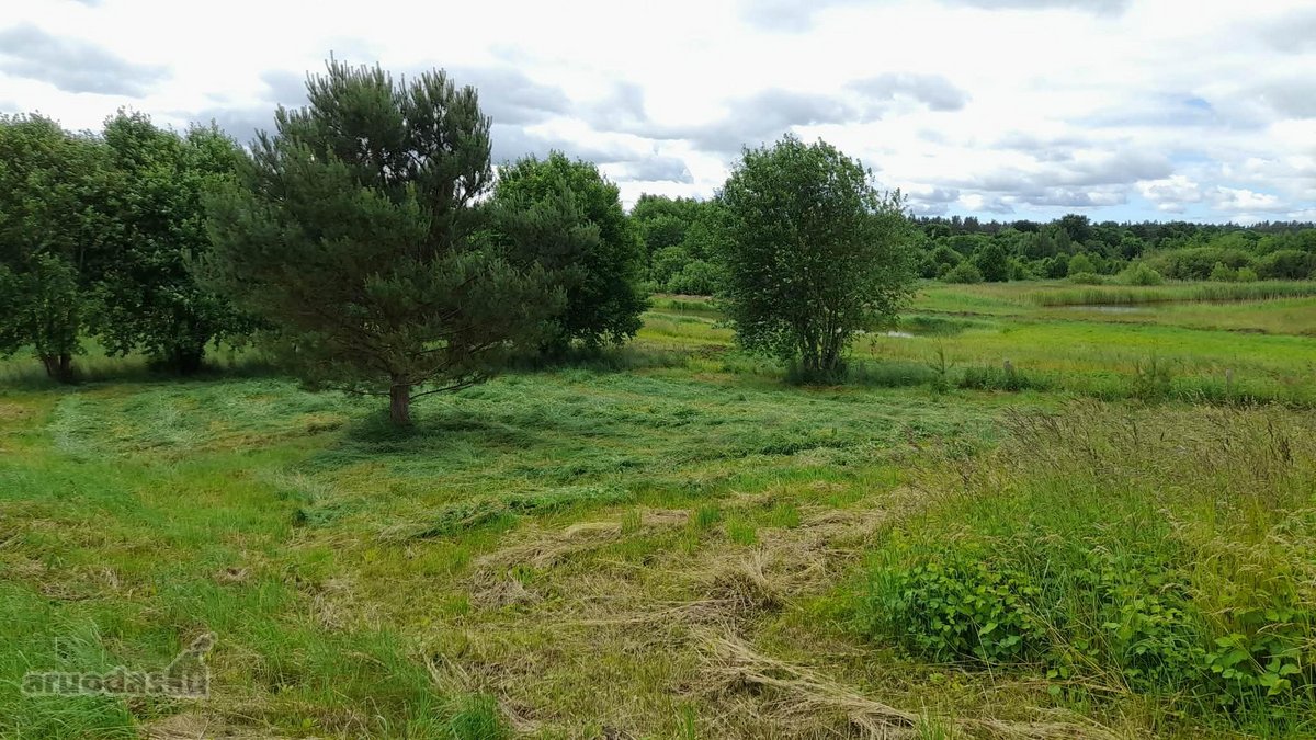 Parduodamas Dovilų miestelyje 19 arų namų - nuotraukos Nr. 9