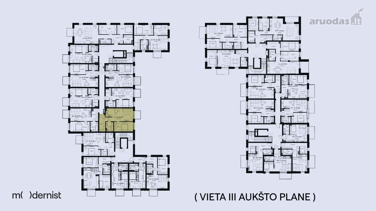 Modernist ( Užpildyk Erdvę Gyvenimu ) - nuotraukos Nr. 8