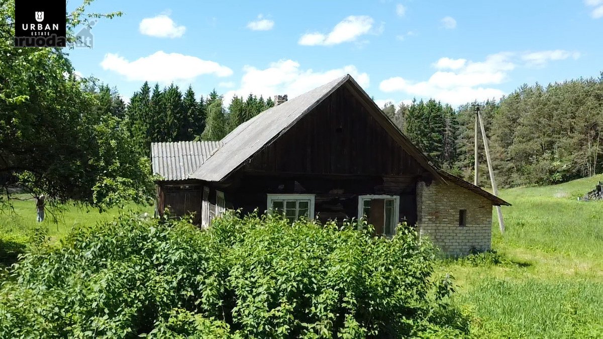 Ieškote Namų Ramioje, Miško Apsuptoje Vietoje - nuotraukos Nr. 2