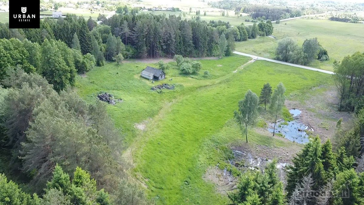 Ieškote Namų Ramioje, Miško Apsuptoje Vietoje - nuotraukos Nr. 9