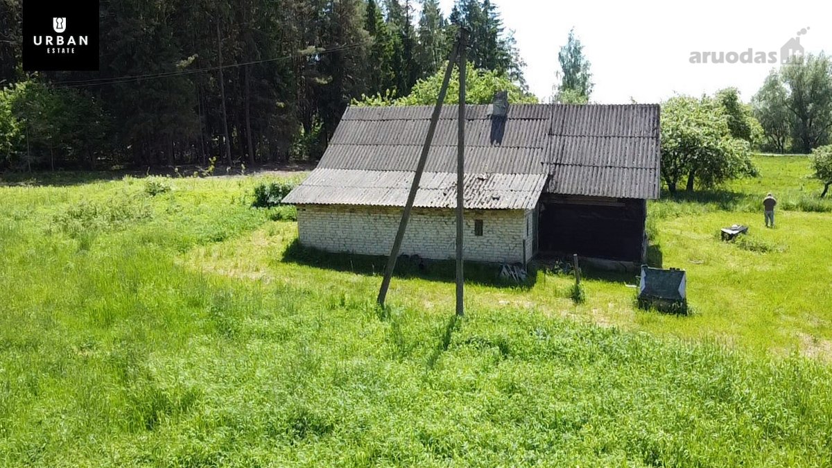 Ieškote Namų Ramioje, Miško Apsuptoje Vietoje - nuotraukos Nr. 11