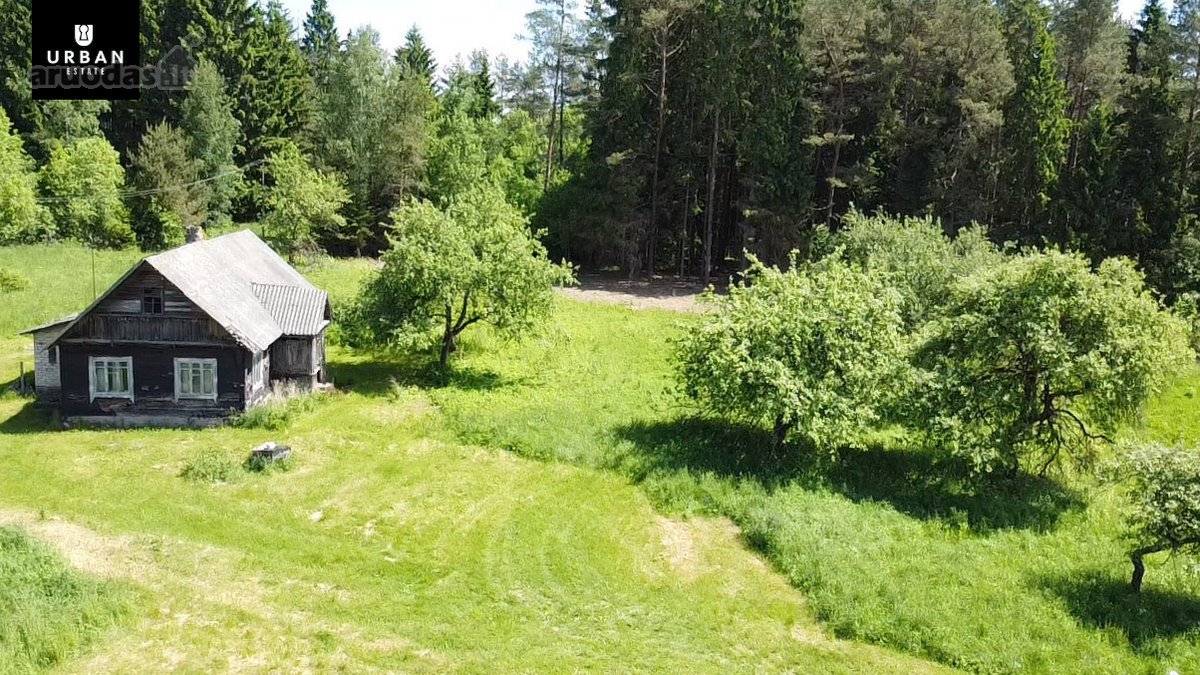 Ieškote Namų Ramioje, Miško Apsuptoje Vietoje - nuotraukos Nr. 12