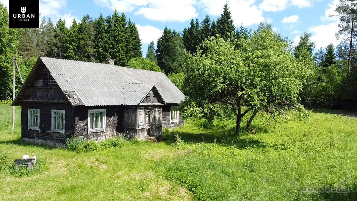 Ieškote Namų Ramioje, Miško Apsuptoje Vietoje - nuotraukos Nr. 15