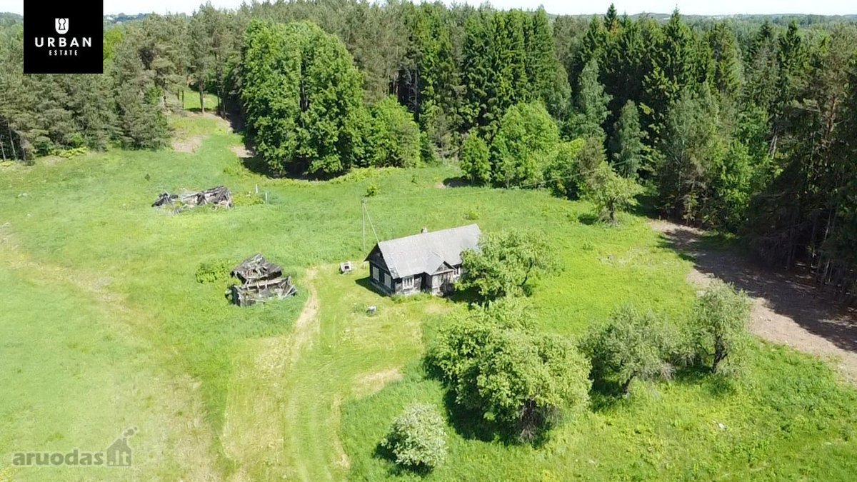 Ieškote Namų Ramioje, Miško Apsuptoje Vietoje - nuotraukos Nr. 16
