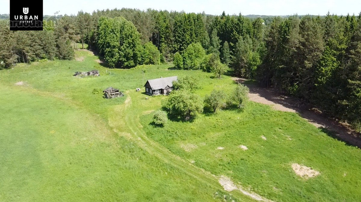 Ieškote Namų Ramioje, Miško Apsuptoje Vietoje - nuotraukos Nr. 23