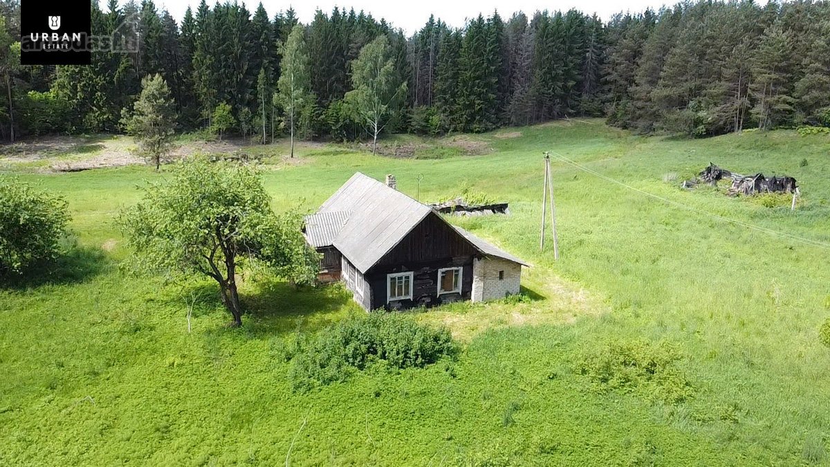Ieškote Namų Ramioje, Miško Apsuptoje Vietoje - nuotraukos Nr. 24