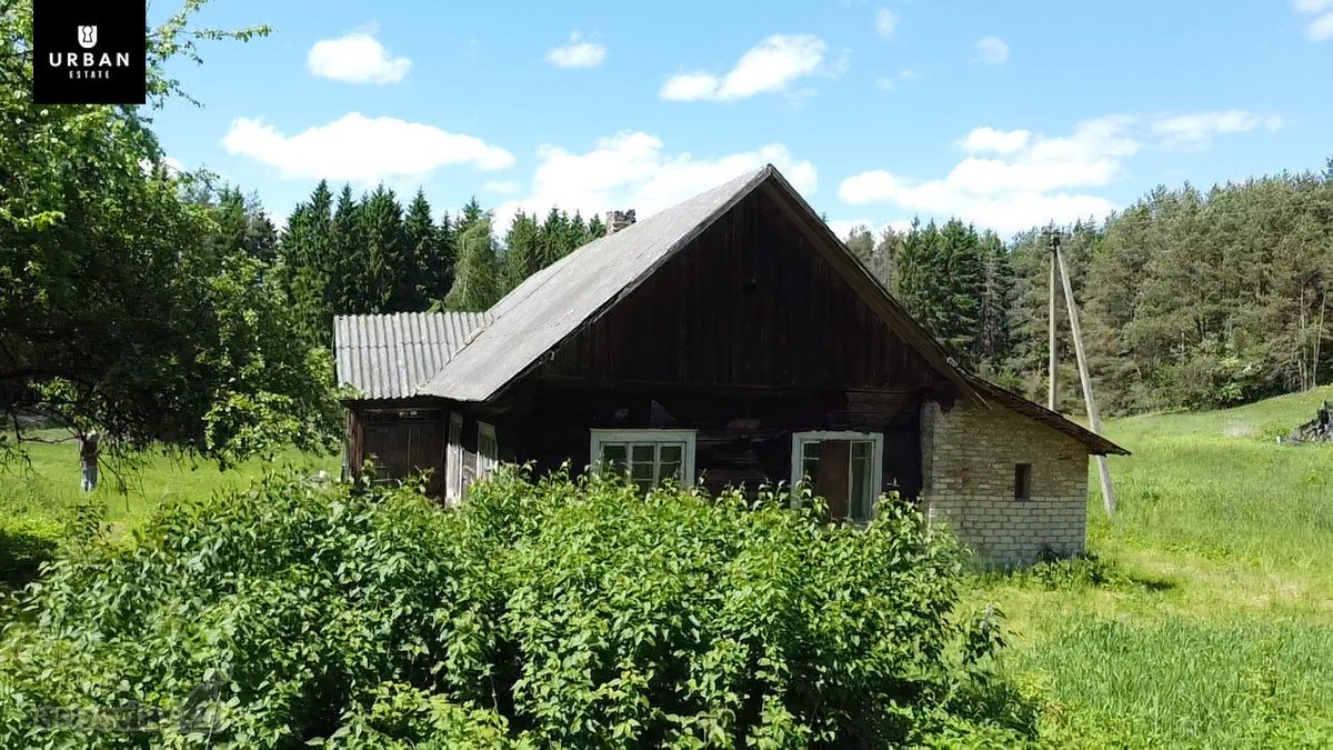 Ieškote Namų Ramioje, Miško Apsuptoje Vietoje - nuotraukos Nr. 6
