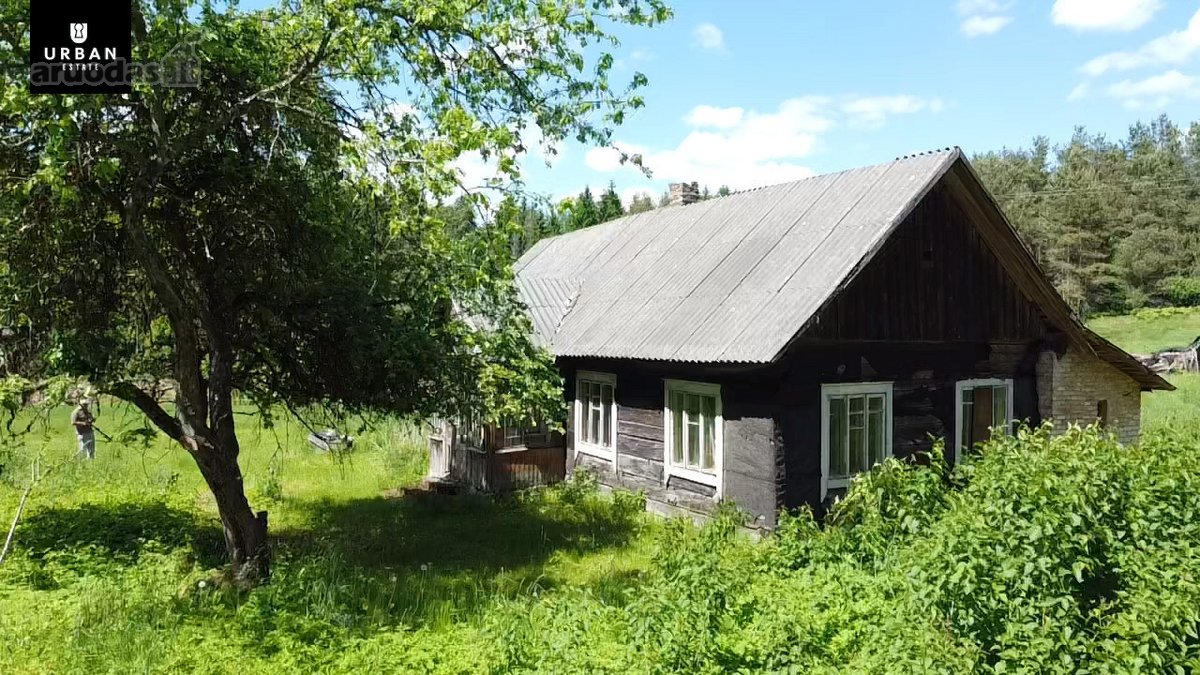 Ieškote Namų Ramioje, Miško Apsuptoje Vietoje - nuotraukos Nr. 8