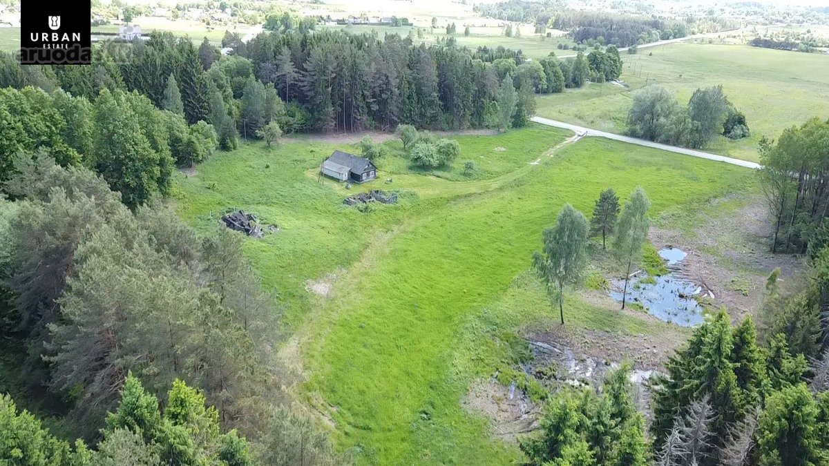 Ieškote Namų Ramioje, Miško Apsuptoje Vietoje - nuotraukos Nr. 10
