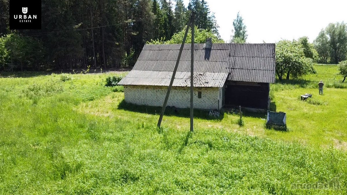Ieškote Namų Ramioje, Miško Apsuptoje Vietoje - nuotraukos Nr. 12