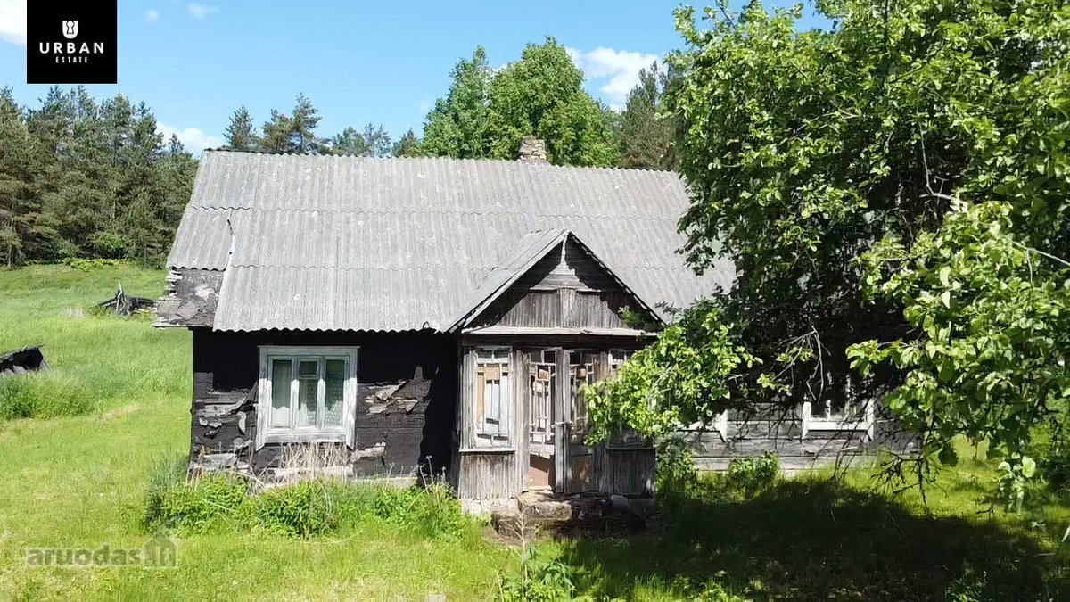 Ieškote Namų Ramioje, Miško Apsuptoje Vietoje - nuotraukos Nr. 14
