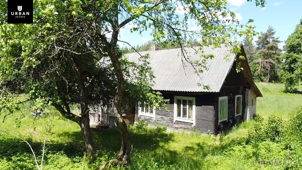 Ieškote Namų Ramioje, Miško Apsuptoje Vietoje - nuotraukos Nr. 15
