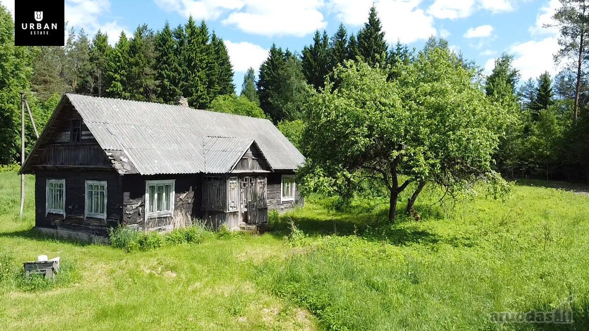 Ieškote Namų Ramioje, Miško Apsuptoje Vietoje - nuotraukos Nr. 16