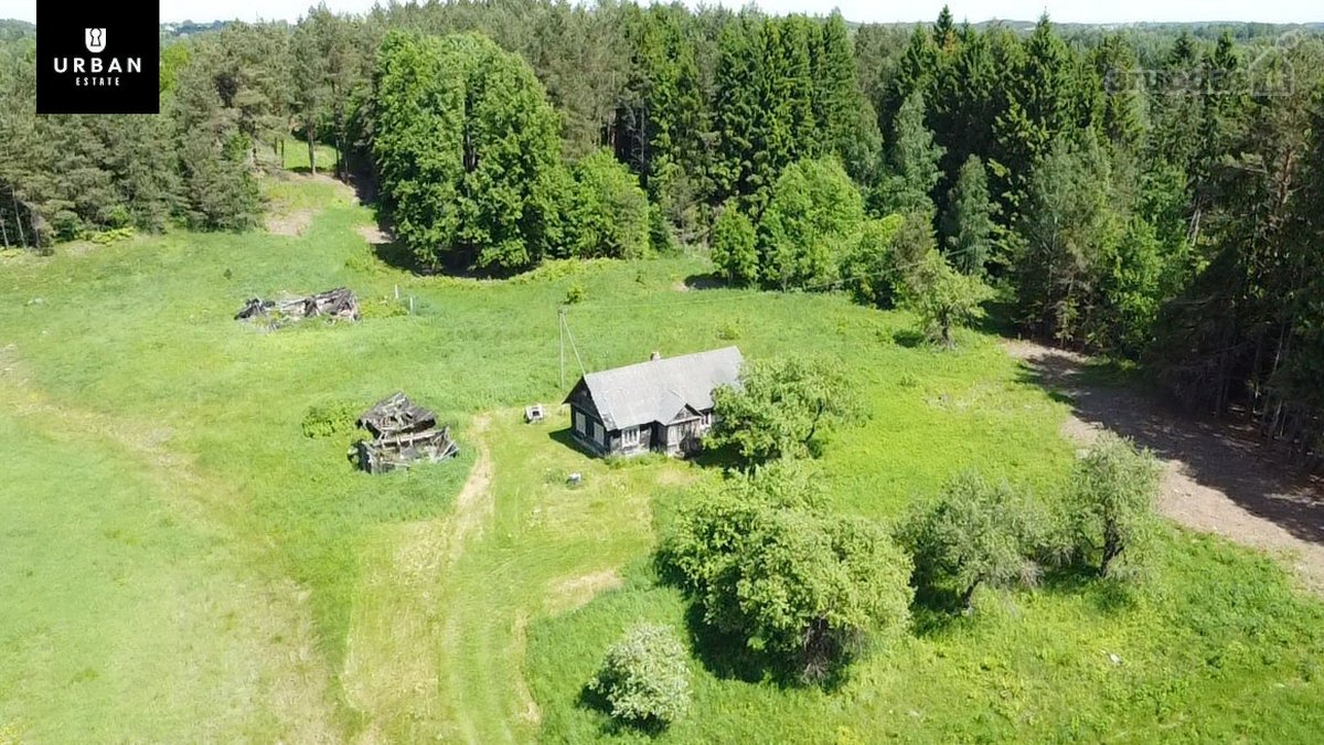 Ieškote Namų Ramioje, Miško Apsuptoje Vietoje - nuotraukos Nr. 17