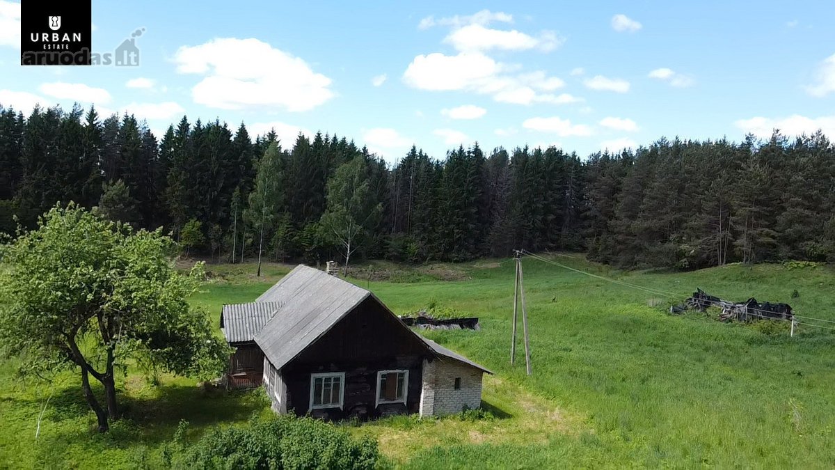 Ieškote Namų Ramioje, Miško Apsuptoje Vietoje - nuotraukos Nr. 23