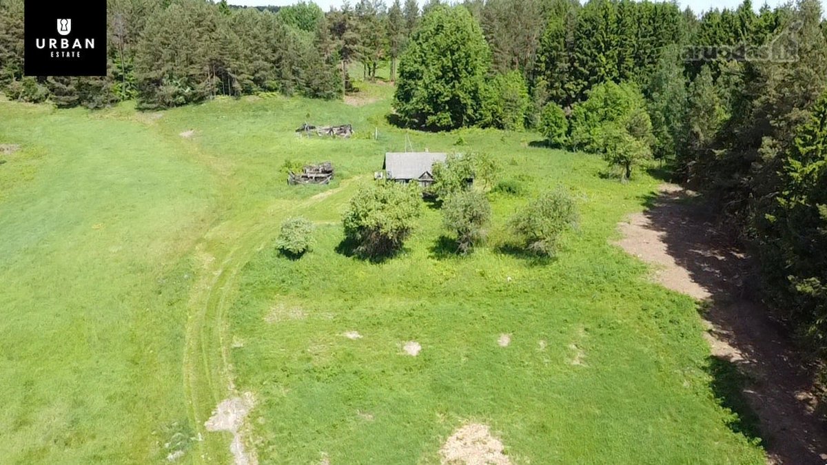 Ieškote Namų Ramioje, Miško Apsuptoje Vietoje - nuotraukos Nr. 26