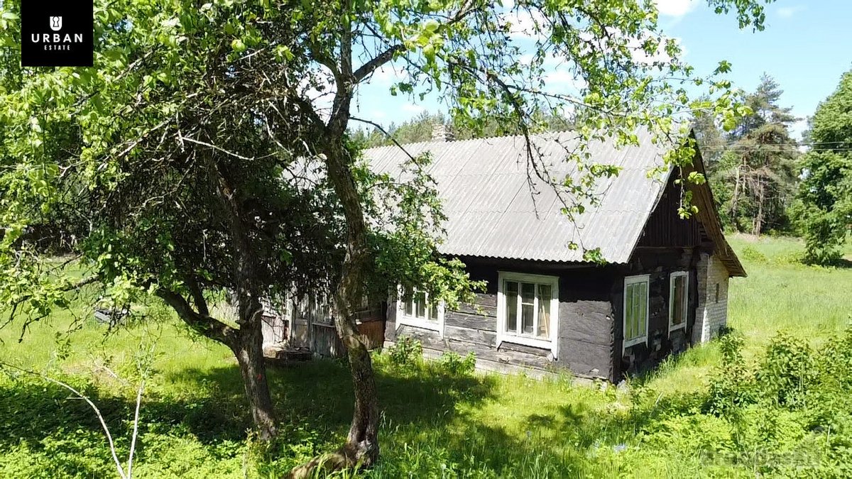 Ieškote Namų Ramioje, Miško Apsuptoje Vietoje - nuotraukos Nr. 27