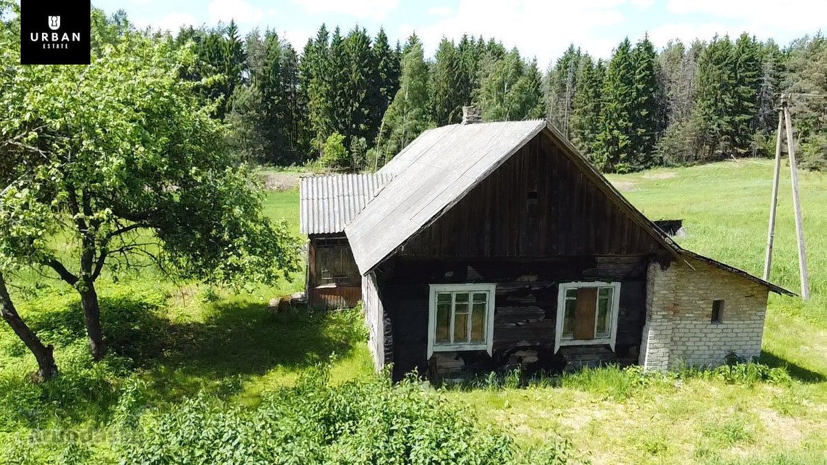 Ieškote Namų Ramioje, Miško Apsuptoje Vietoje - nuotraukos Nr. 29