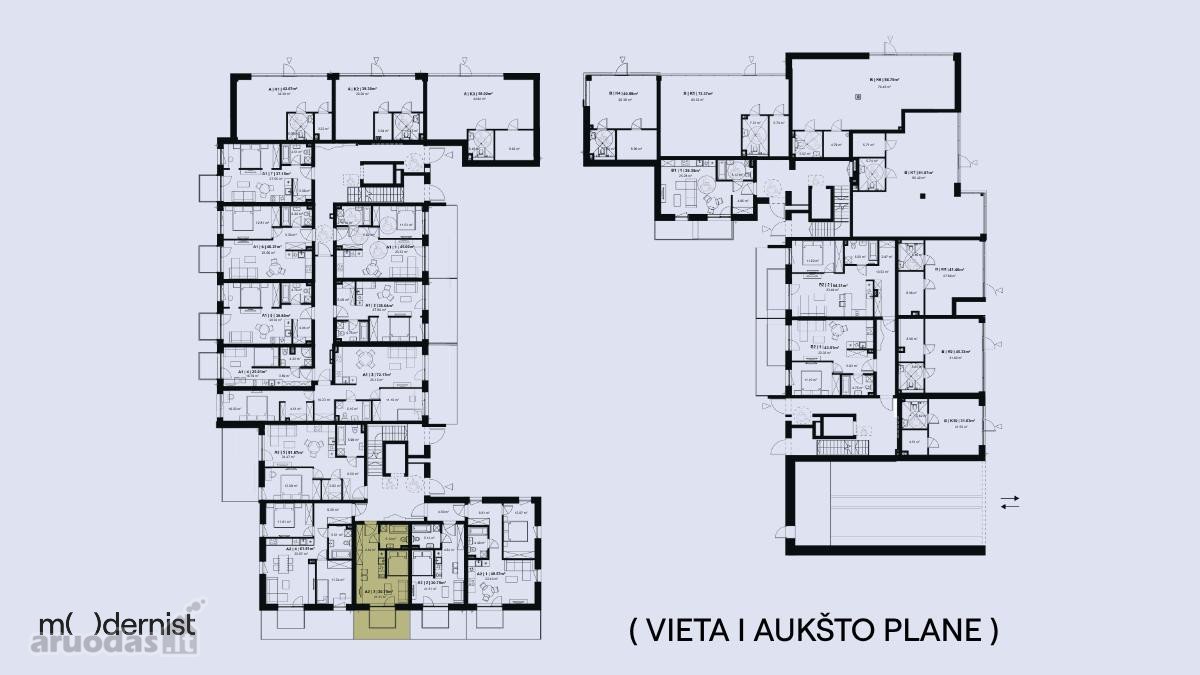 Modernist ( Užpildyk Erdvę Gyvenimu ) - nuotraukos Nr. 9