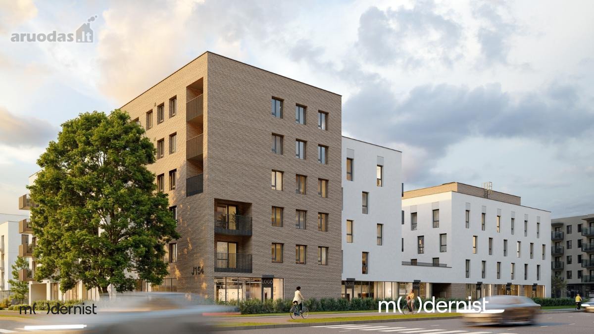 Modernist ( Užpildyk Erdvę Gyvenimu ) - nuotraukos Nr. 2