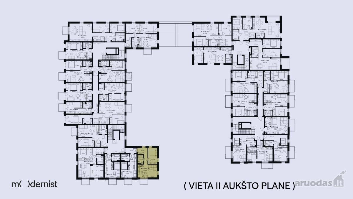 Modernist ( Užpildyk Erdvę Gyvenimu ) - nuotraukos Nr. 9