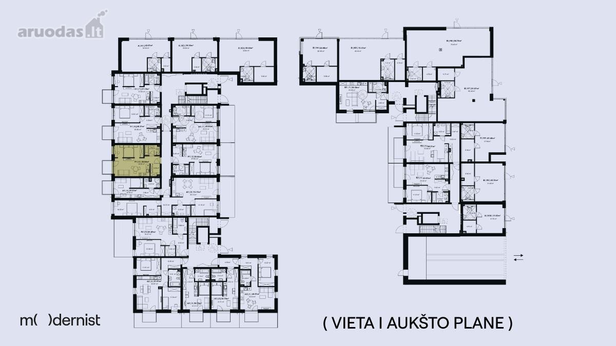 Modernist ( Užpildyk Erdvę Gyvenimu ) - nuotraukos Nr. 3