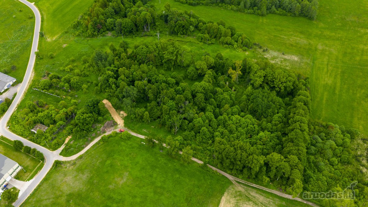 Parduodamas 0,9793 Ha Žemės Ūkio Paskirties - nuotraukos Nr. 7