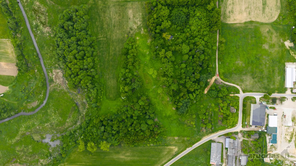 Parduodamas 0,9793 Ha Žemės Ūkio Paskirties - nuotraukos Nr. 8