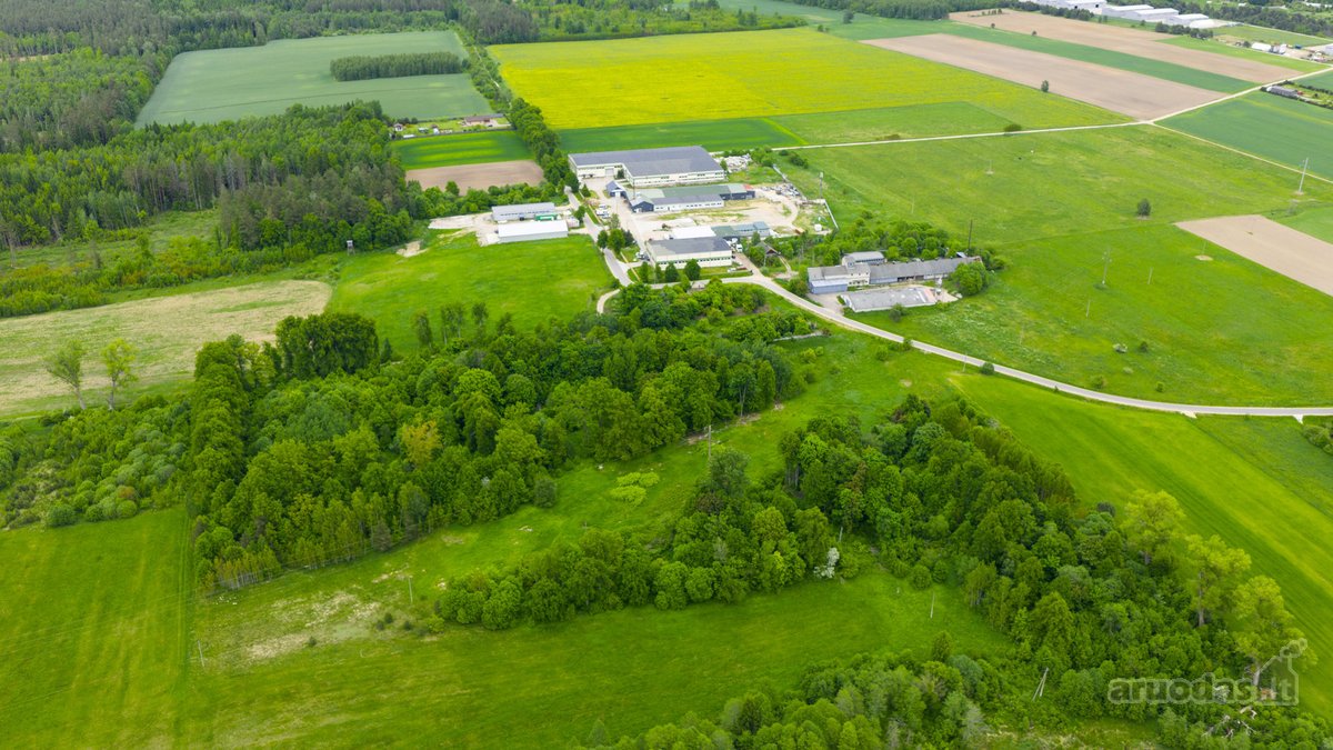 Parduodamas 0,9793 Ha Žemės Ūkio Paskirties - nuotraukos Nr. 10