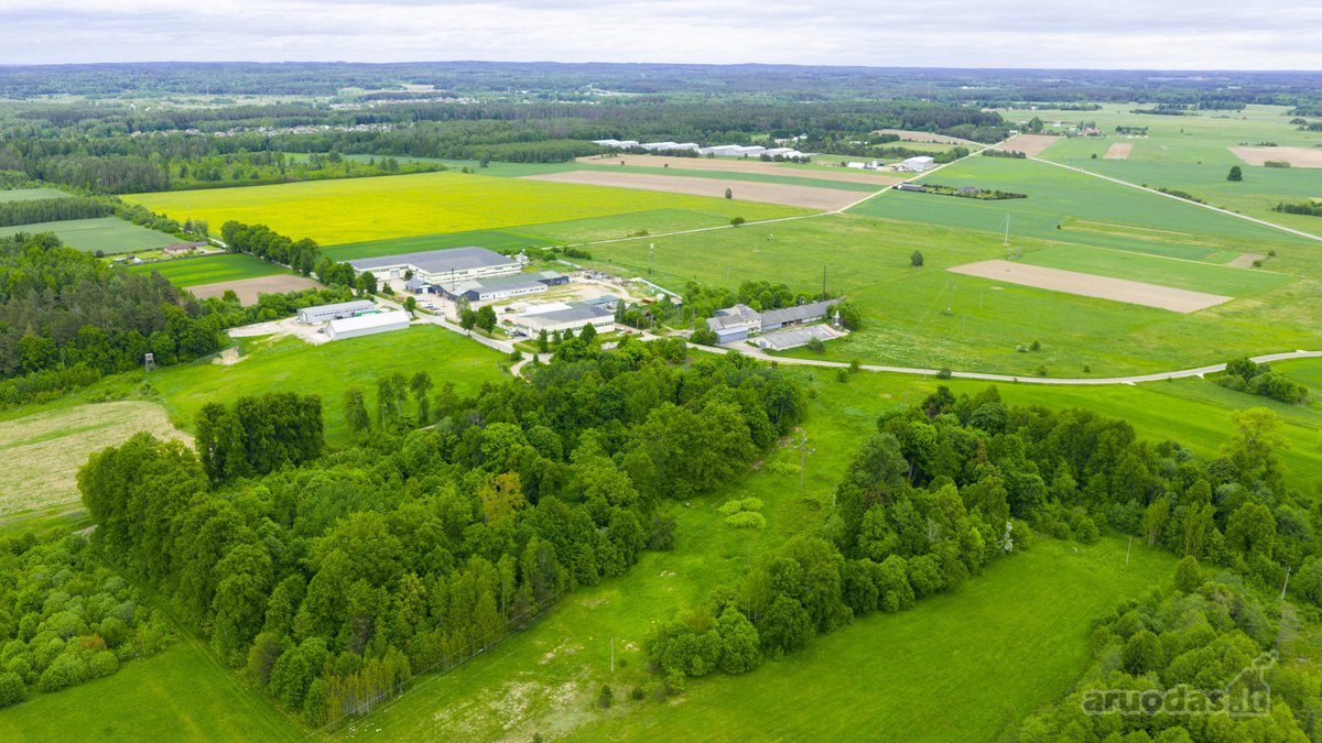 Parduodamas 0,9793 Ha Žemės Ūkio Paskirties - nuotraukos Nr. 11