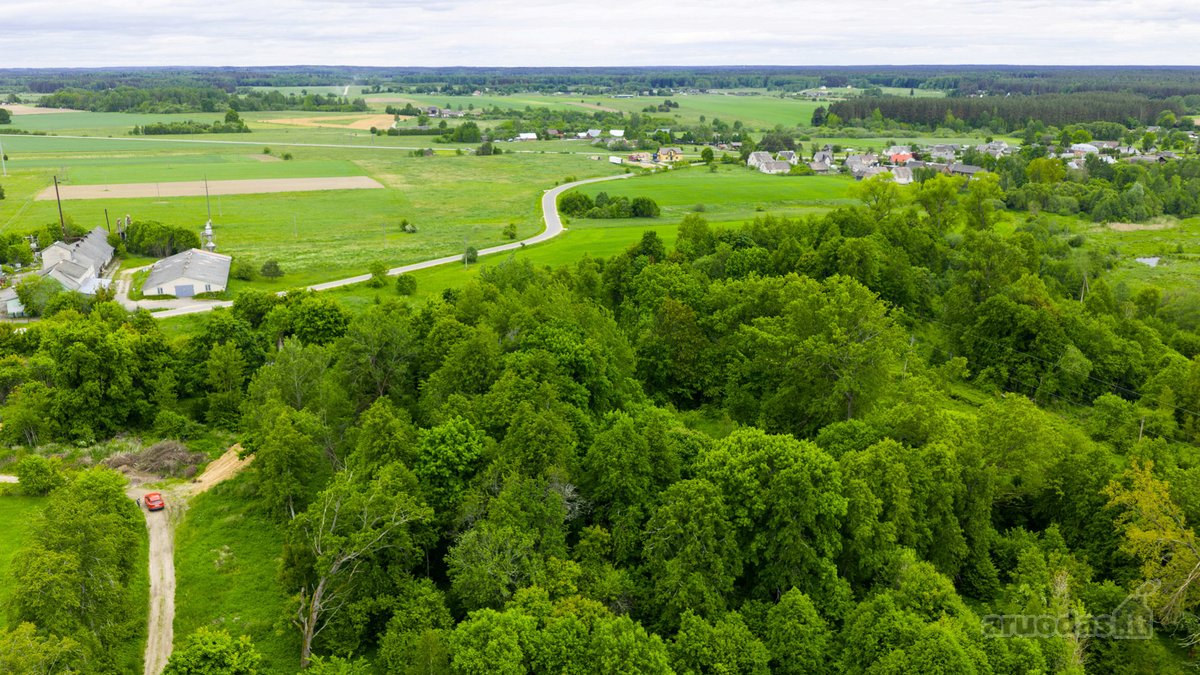 Parduodamas 0,9793 Ha Žemės Ūkio Paskirties - nuotraukos Nr. 13