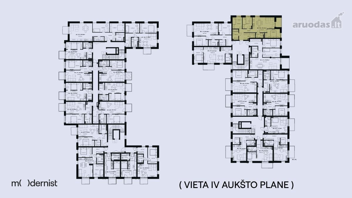 Modernist ( Užpildyk Erdvę Gyvenimu ) - nuotraukos Nr. 7