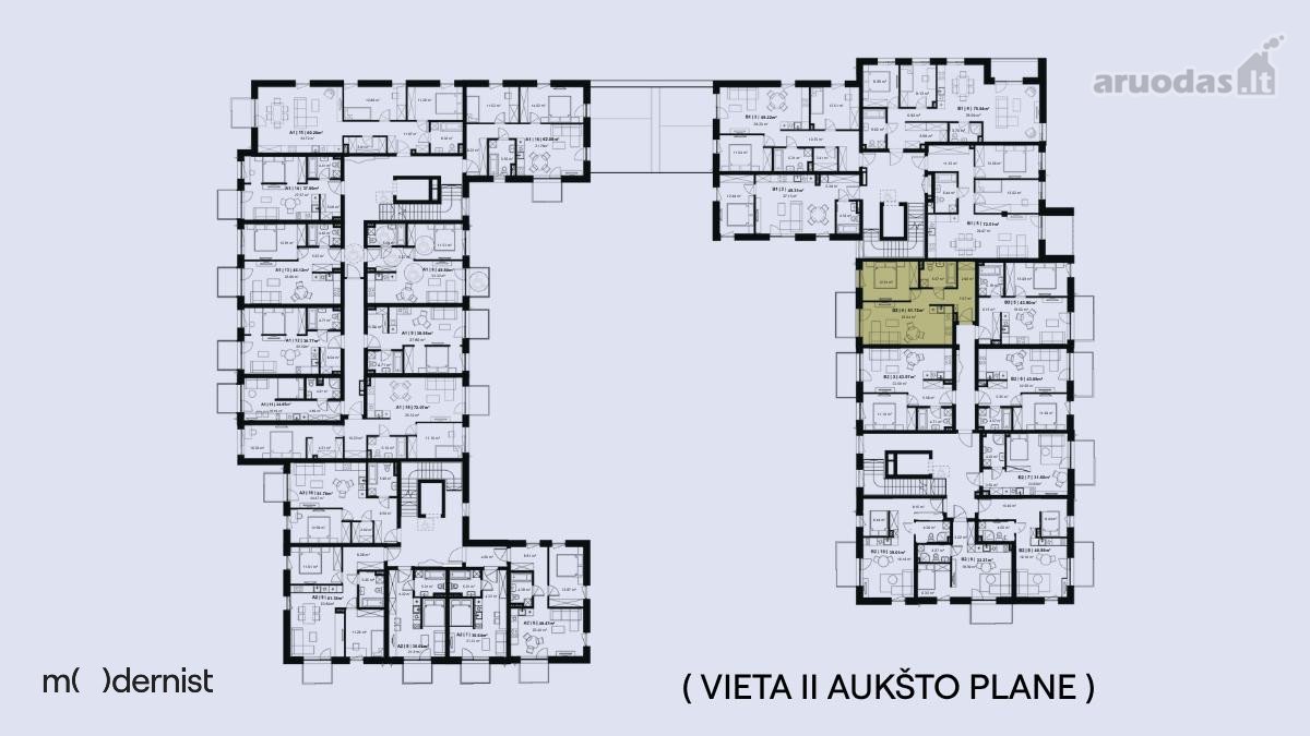 Modernist ( Užpildyk Erdvę Gyvenimu ) - nuotraukos Nr. 8