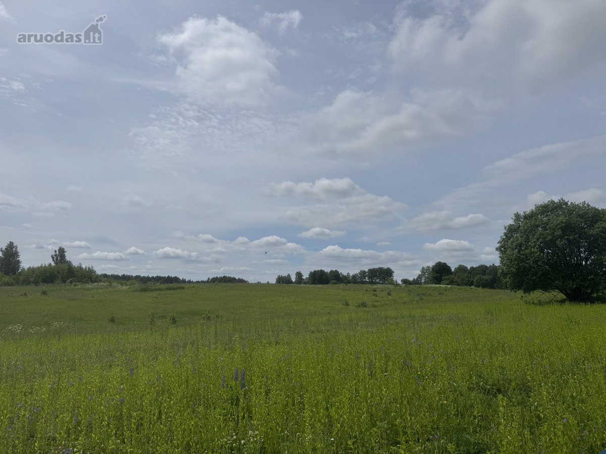 Parduodami 8,66 ha žemės ūkio paskirties