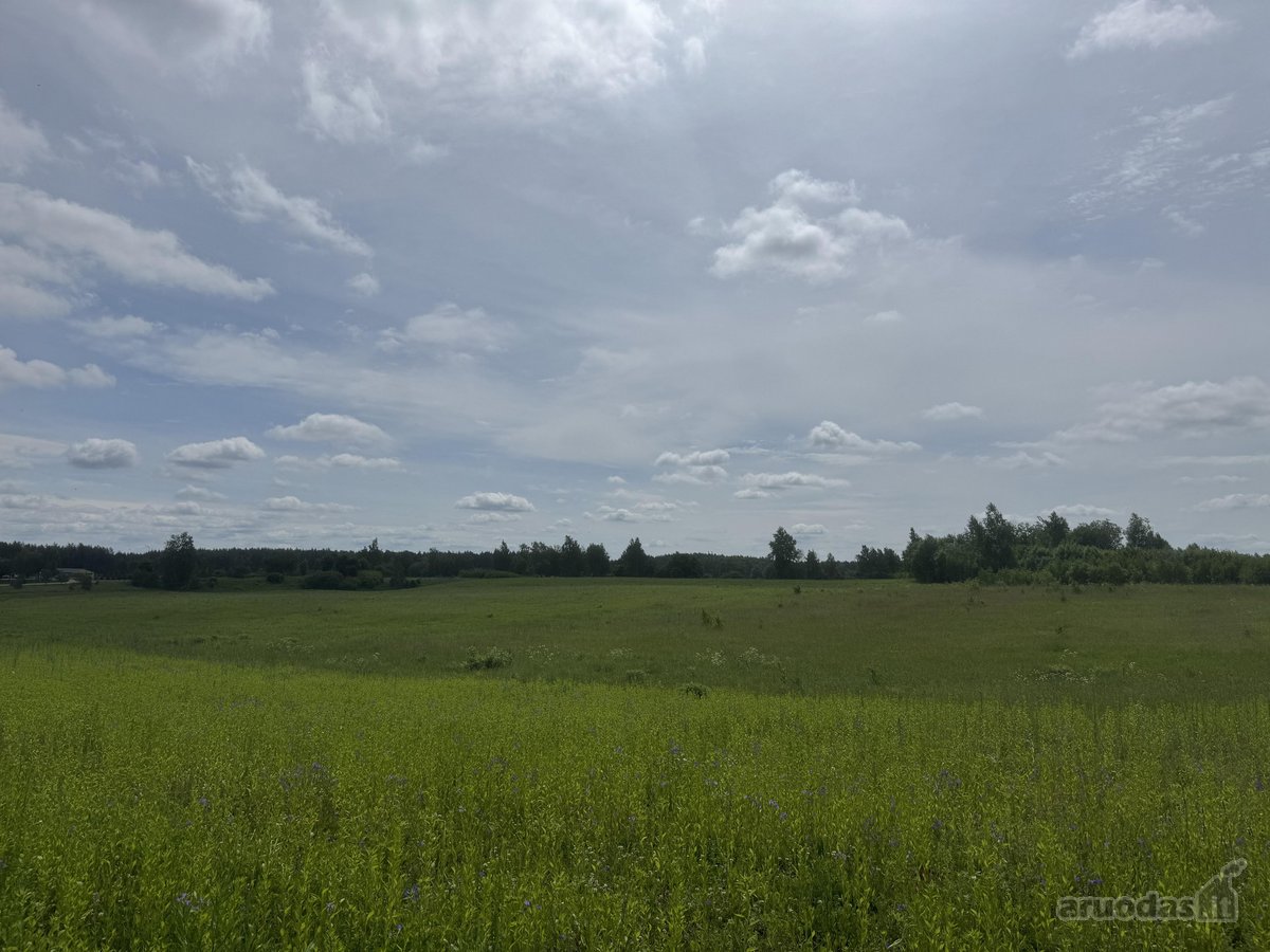 Parduodami 8,66 ha žemės ūkio paskirties - nuotraukos Nr. 2