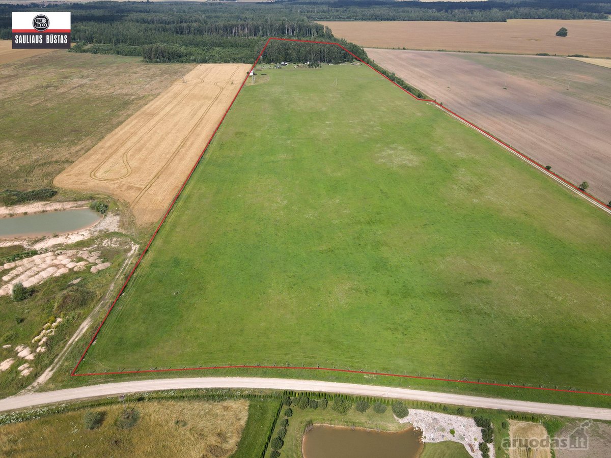 Parduodamas išskirtinio grožio 13,1588 ha - nuotraukos Nr. 18