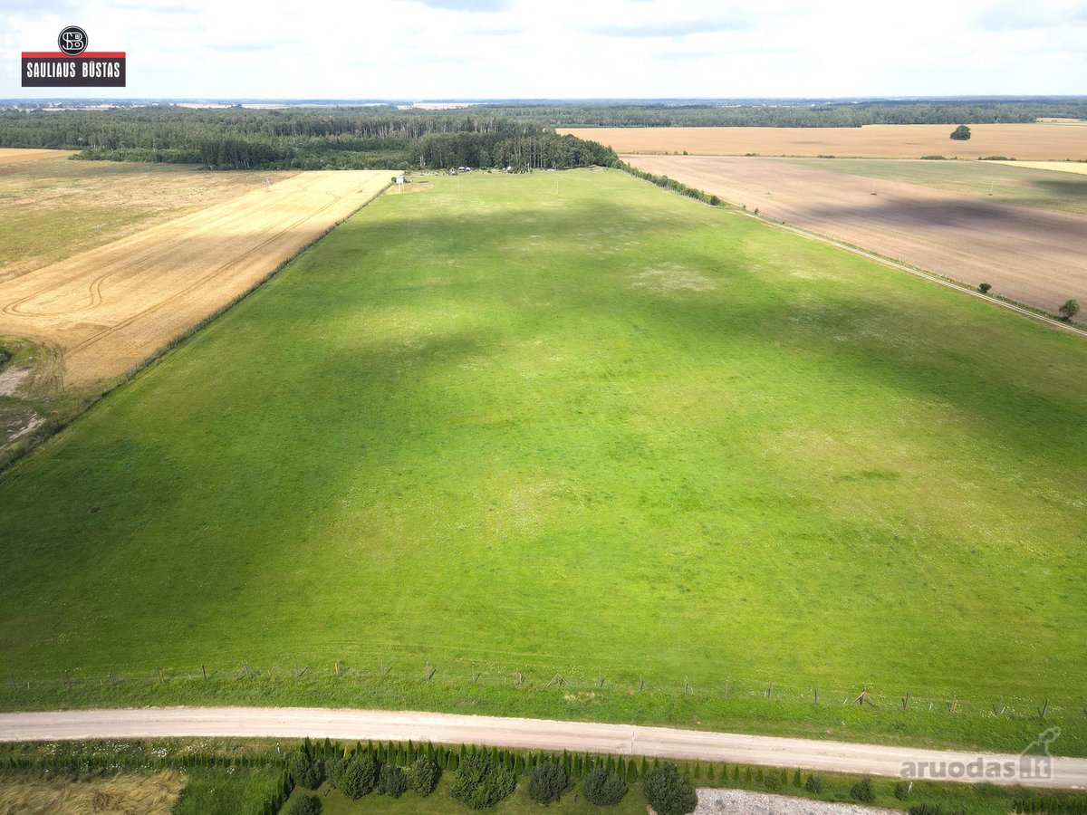 Parduodamas išskirtinio grožio 13,1588 ha - nuotraukos Nr. 19