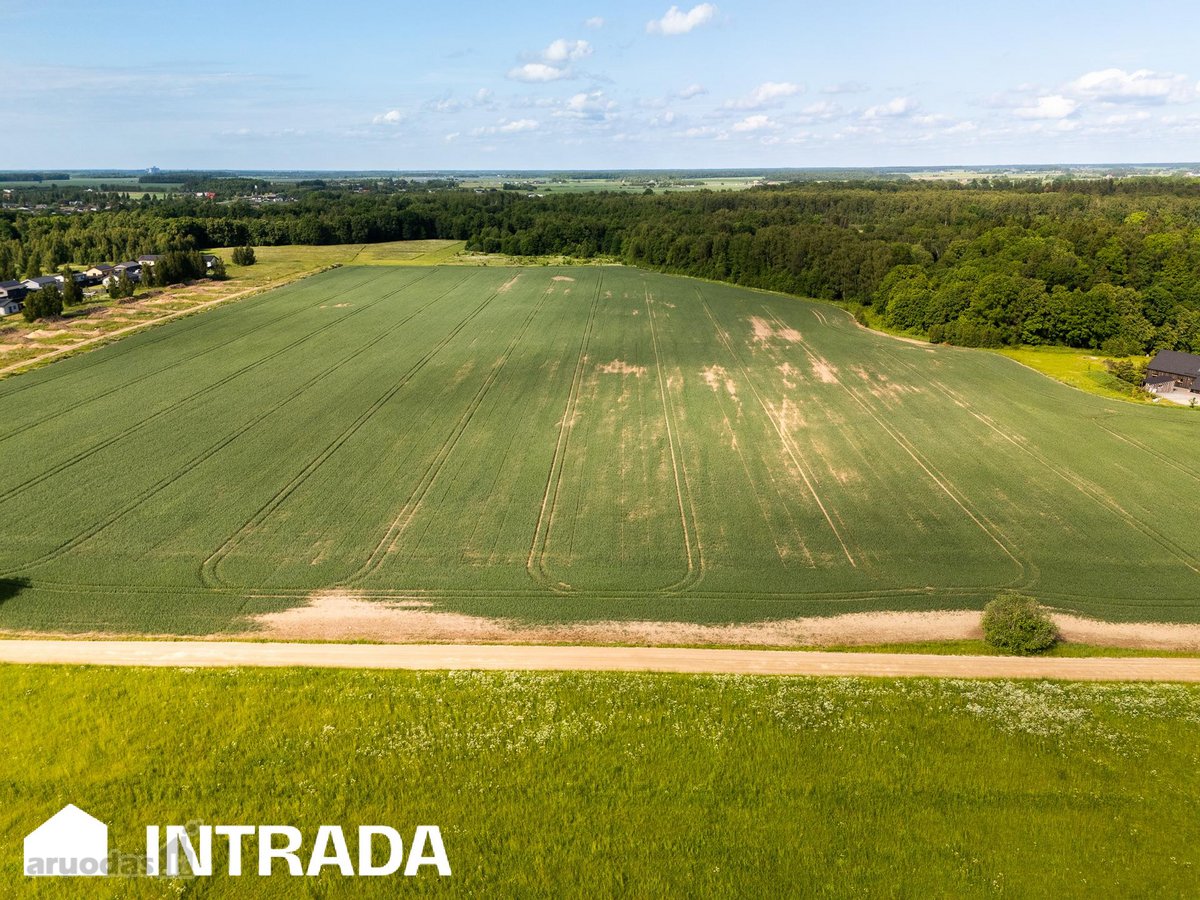Investicinis sklypų masyvas 2,58 ha – - nuotraukos Nr. 5