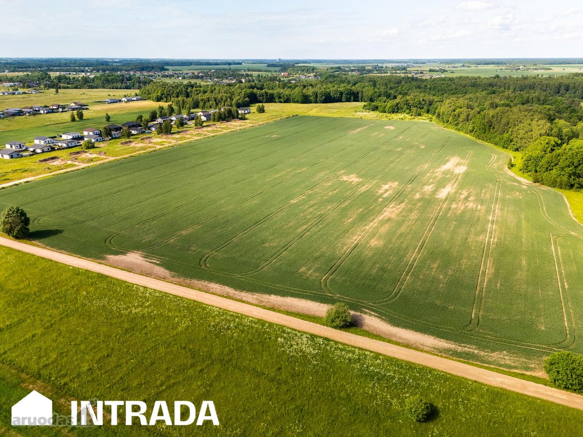 Investicinis sklypų masyvas 2,58 ha – - nuotraukos Nr. 6