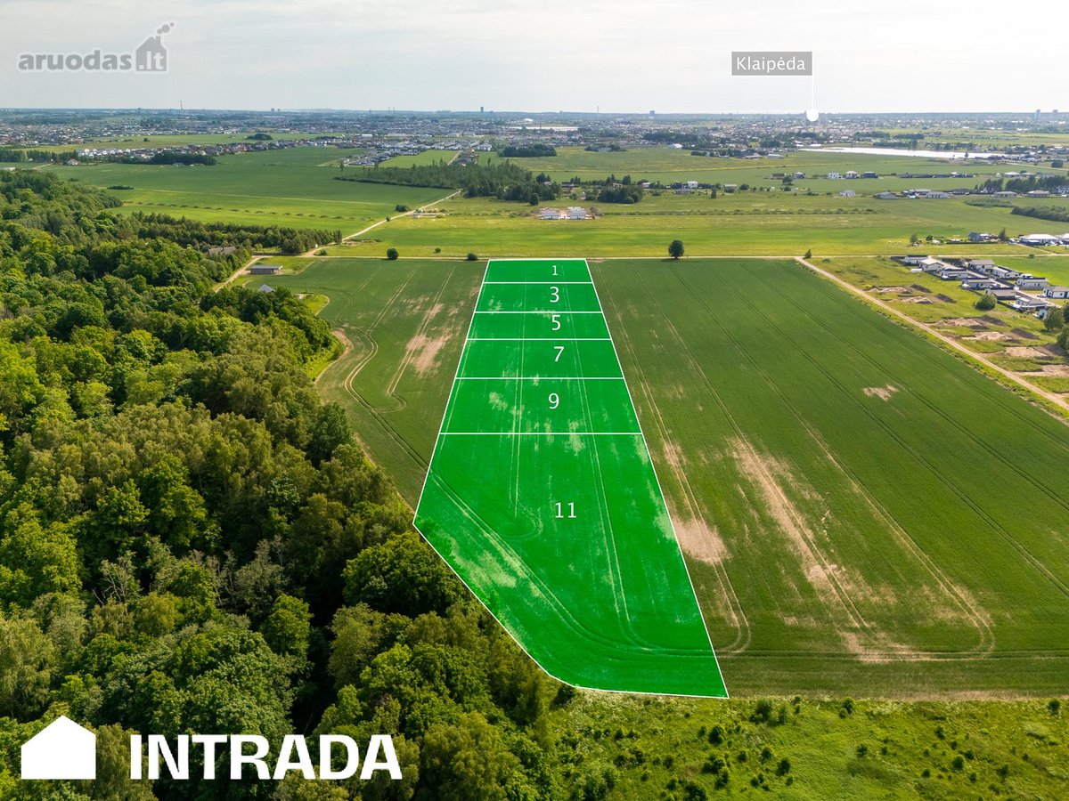 Investicinis sklypų masyvas 2,58 ha – - nuotraukos Nr. 8