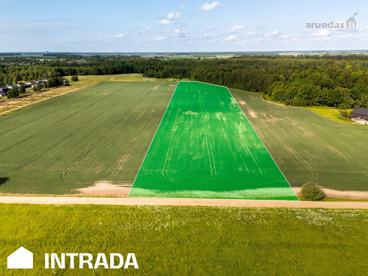 Investicinis sklypų masyvas 2,58 ha – - nuotraukos Nr. 9