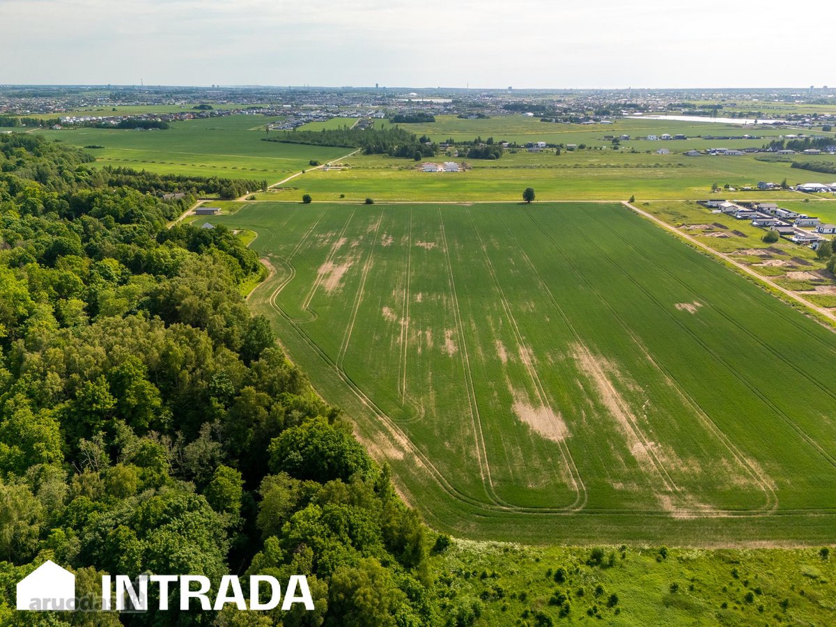 Investicinis sklypų masyvas 2,58 ha – - nuotraukos Nr. 14