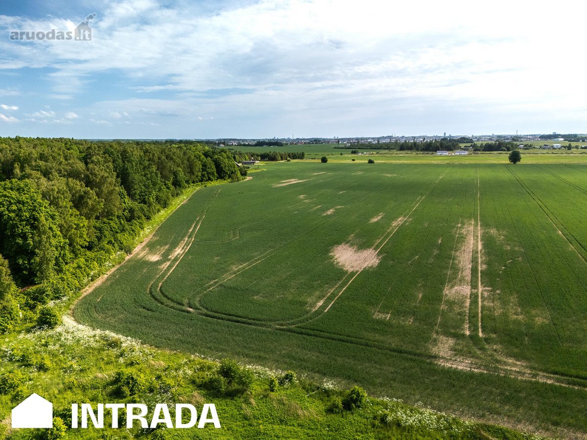 Investicinis sklypų masyvas 2,58 ha – - nuotraukos Nr. 15