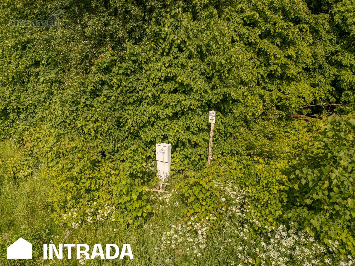 Investicinis sklypų masyvas 2,58 ha – - nuotraukos Nr. 16