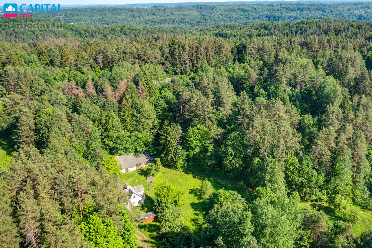 Išskirtinis Sklypas Pavilnių Regioninio Parko - nuotraukos Nr. 7