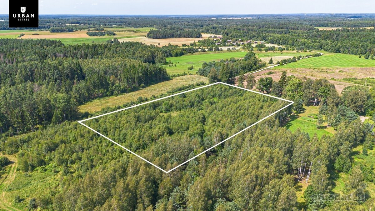 1.69 Ha Žemės Ūkio Paskirties Sklypas - nuotraukos Nr. 10