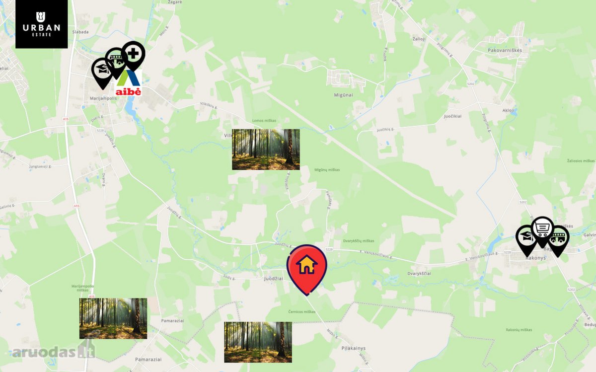 1.69 Ha Žemės Ūkio Paskirties Sklypas - nuotraukos Nr. 12