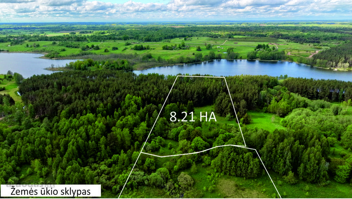 Parduodamas 8.21 Ha žemės ūkio paskirties - nuotraukos Nr. 2