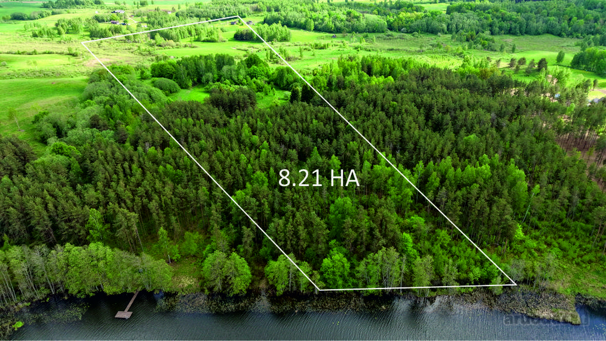 Parduodamas 8.21 Ha žemės ūkio paskirties - nuotraukos Nr. 6