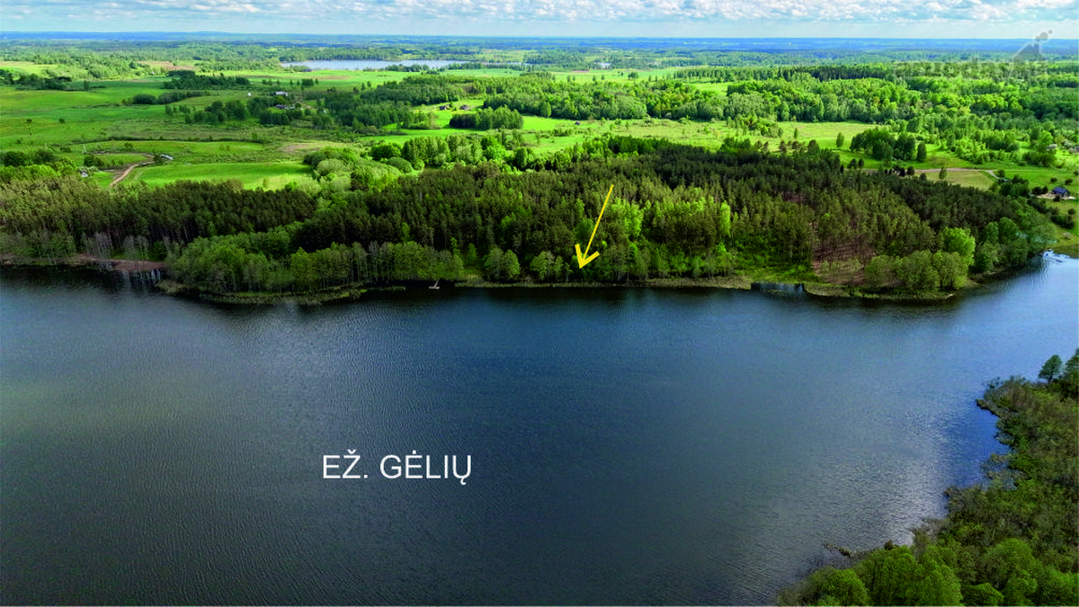 Parduodamas 8.21 Ha žemės ūkio paskirties - nuotraukos Nr. 7